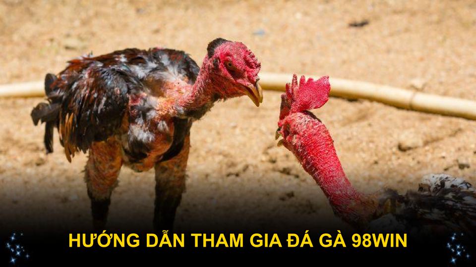 Hướng dẫn tham gia đá gà 98WIN chi tiết dễ hiểu